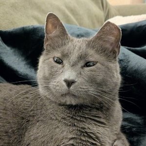 Caleb