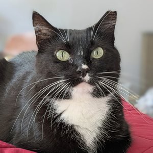 Winnie